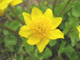 �����������������C���[�W